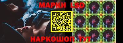 индика Камышлов