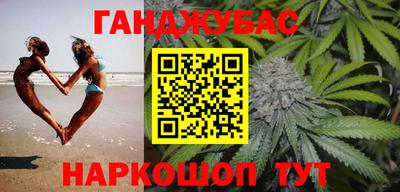 индика Камышлов