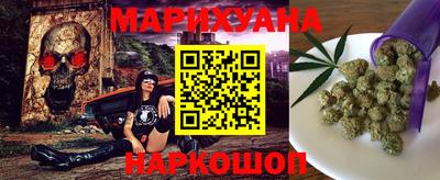 индика Камышлов