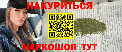 индика Камышлов