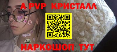 индика Камышлов