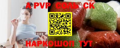 индика Камышлов