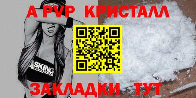 индика Камышлов