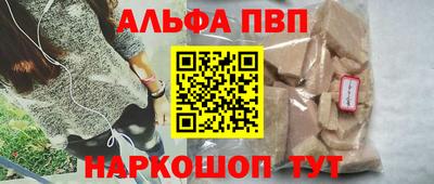 индика Камышлов