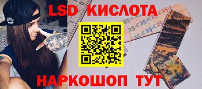 индика Камышлов