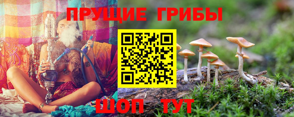 Псилоцибиновые грибы Magic Shrooms Краснокаменск